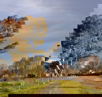 Adelong Falls Walk - Gold Coast Attractions