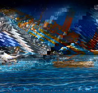 ArtVo Illusions - Gold Coast Attractions