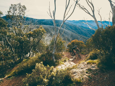 Australian Alpine Epic Mountain Bike Trail - Gold Coast Attractions 1