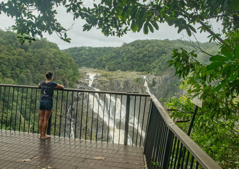 Barron Falls Lookout Track, Barron Gorge National Park - Gold Coast Attractions 1