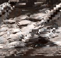 Bathurst Goldfields Education and Function Centre - Gold Coast Attractions