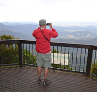 Best of All lookout track Springbrook National Park