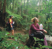 Binna Burra Lamington National Park - Gold Coast Attractions