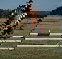 Camden Bicentennial Equestrian Park - Gold Coast Attractions