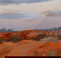 Castle Rock walk and Lookout - Gold Coast Attractions