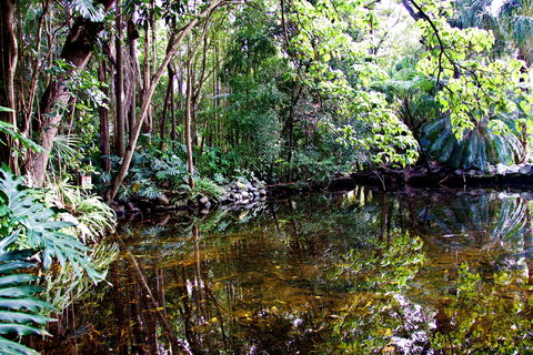 Cascade Gardens - Gold Coast Attractions 2