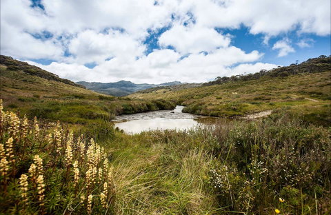 Cascade Hut Trail - Gold Coast Attractions 0