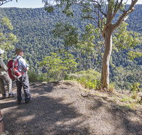Caves circuit Lamington National Park - Gold Coast Attractions