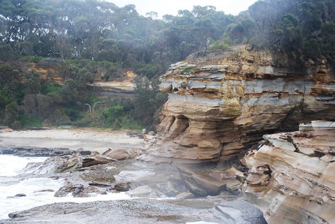Cookies Beach Picnic Area - South Durras - Gold Coast Attractions 2