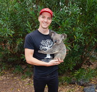 Cooberrie Park Wildlife Sanctuary - Gold Coast Attractions