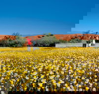 Coorow Farm Wildflower Trail - Gold Coast Attractions