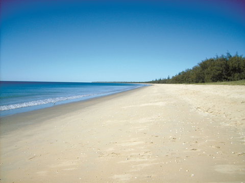 Coral Coast Pathways (Woodgate Beach Section) - Gold Coast Attractions 0