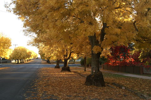 Crookwell - Gold Coast Attractions 1