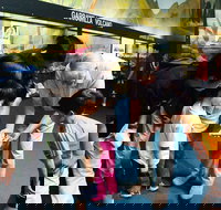 Crystal Kingdom - Gold Coast Attractions