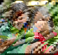 Currumbin Wildlife Sanctuary - Gold Coast Attractions