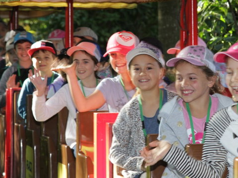 Currumbin Wildlife Sanctuary - Gold Coast Attractions 1