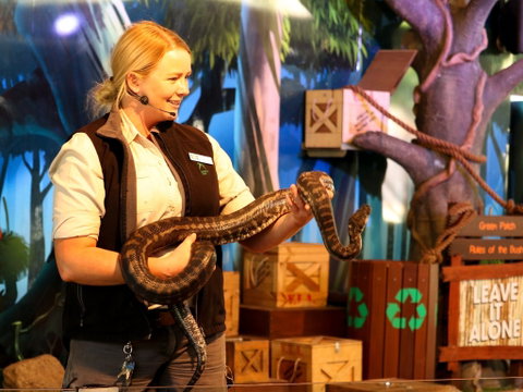Currumbin Wildlife Sanctuary - Gold Coast Attractions 2