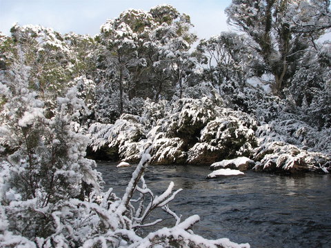 Derwent Bridge - Gold Coast Attractions 2