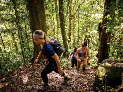 Devils Thumb (Manjal Jimalji) Trail - Gold Coast Attractions 0
