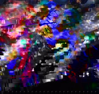 Didgeridoo Festivals - Gold Coast Attractions