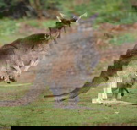 Donnelly River - Gold Coast Attractions