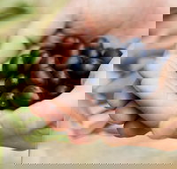 Eat Pick Grow Trail - Wanneroo and Chittering - Gold Coast Attractions