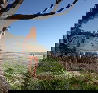 Evans Head Surf Shack - Gold Coast Attractions