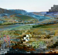 Farm Flavour Trail Chittering Valley - Gold Coast Attractions