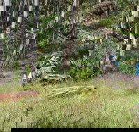 Federal Falls Walk - Gold Coast Attractions