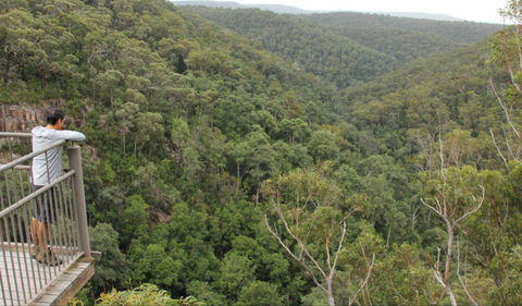 Granite Falls Walking Track - Gold Coast Attractions 0