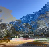 Grenfell Endemic Garden - Gold Coast Attractions
