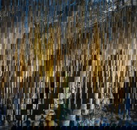 Hastings Caves and Thermal Springs - Gold Coast Attractions