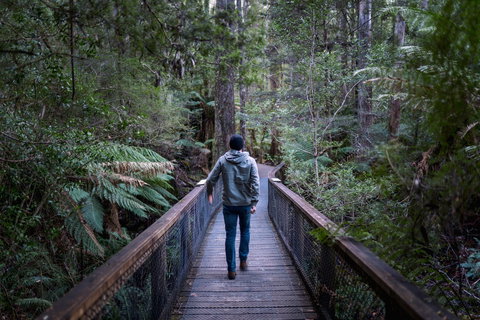 Hastings Caves And Thermal Springs - Gold Coast Attractions 1