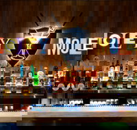 Holey Moley Wollongong - Gold Coast Attractions