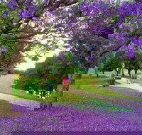 Howe Park - Gold Coast Attractions