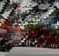 Jamberoo - Gold Coast Attractions