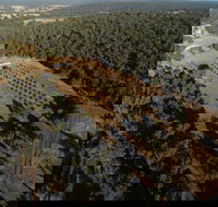 Julimar Date Garden - Gold Coast Attractions