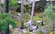 Ka Ka Mundi, Carnarvon National Park - thumb 1