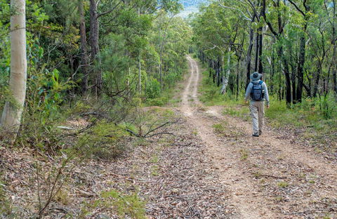 Kangaroo River Walking Track - Gold Coast Attractions 0
