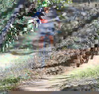 Kidsons Cycles - Gold Coast Attractions