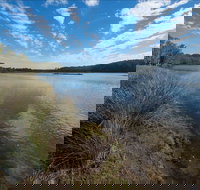 Lake Innes Nature Reserve - Gold Coast Attractions