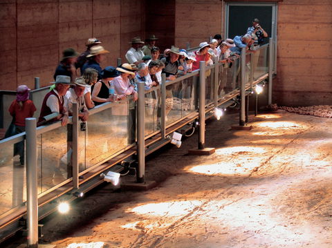 Lark Quarry Conservation Park - Gold Coast Attractions 0