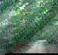 Lawn Hill - Gold Coast Attractions