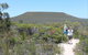 Lesueur Walk Trail, Mount Lesueur - thumb 0