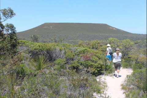 Lesueur Walk Trail, Mount Lesueur - Gold Coast Attractions 0
