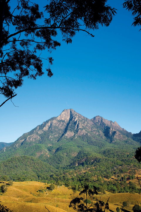 Lower Portals Track, Mount Barney National Park - Gold Coast Attractions 0
