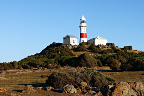 Low Head Foghorn - Gold Coast Attractions 1