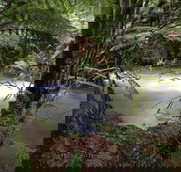 Marriotts Falls and Junee Caves - Gold Coast Attractions