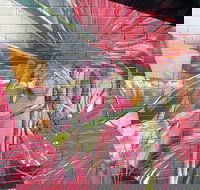 Mokoan Rest Stop Northbound - Gold Coast Attractions