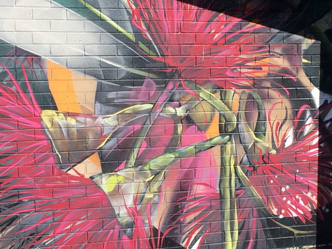 Mokoan Rest Stop Northbound - Gold Coast Attractions 0